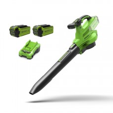 Повітродувка/пилосос 40 В Greenworks GD40BVIIK, комплект зарядних пристроїв 2x + 2 акумулятори 2 Аг