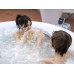 Bestway Soothing Waterfall для Lay-Z-Spa LED 60322