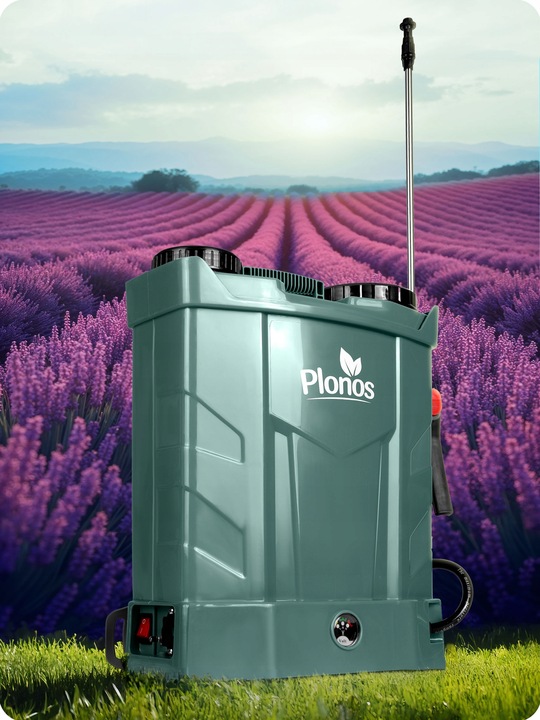 460201